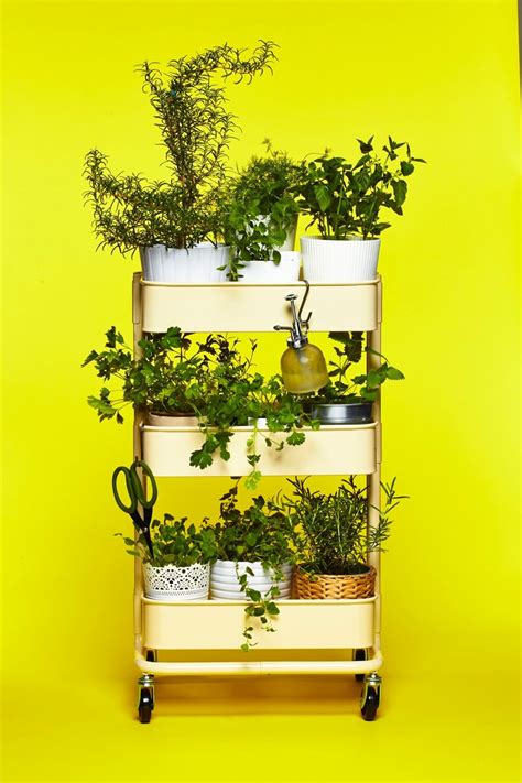 The IKEA RÅSKOG Cart as Herb Garden | Herb garden in kitchen, Herbs indoors, Indoor herb garden