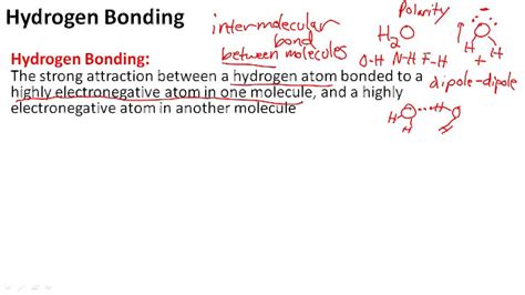 Hydrogen Bonding - Overview ( Video ) | Chemistry | CK-12 Foundation