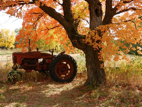 While Picking Apples at Orchard This Great Fall Scene | Scenery, Harvest farm, Farm scene