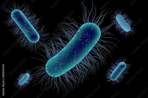 Three-dimensional drawing of Escherichia coli isolated on black background, model of bacteria ...