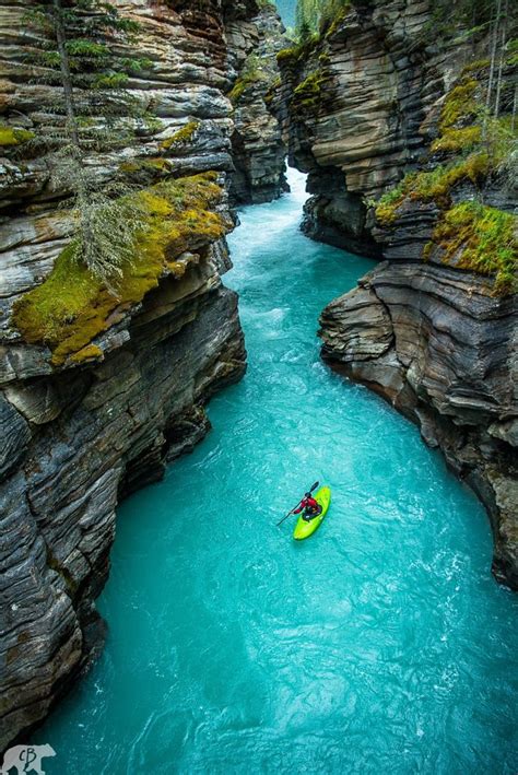 Athabasca fällt Schlucht in Jasper National Park, Alberta, Kanada - #alberta #athabasca #fällt # ...