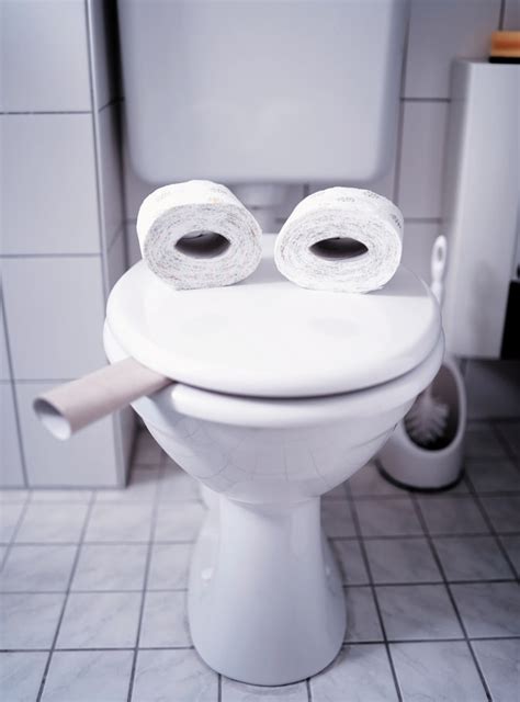 Are Toilet Seat Sizes the Same? - Pizzchzz