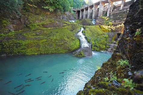 A tale of two rivers – ScienceBorealis.ca Blog