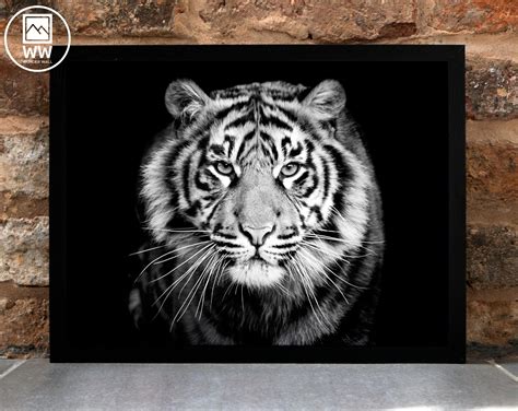 TIGER Print Tiger Poster Black and White Photograph Animal | Etsy