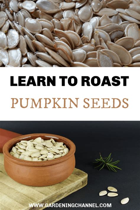 Roasting Pumpkin Seeds - Gardening Channel