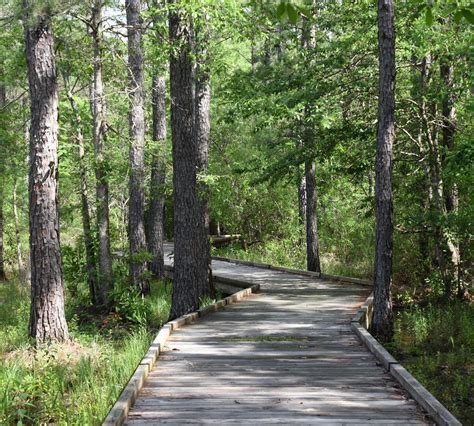 Big Thicket National Preserve (Kountze) - All You Need to Know BEFORE You Go