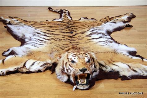 A tiger skin rug with head (Panthera Tigris), an eight foot… - Fine and ...