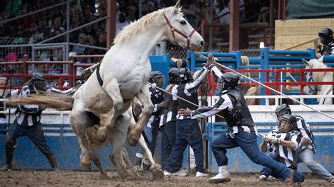 A Louisiana rodeo for US prison inmates | Hindustan Times