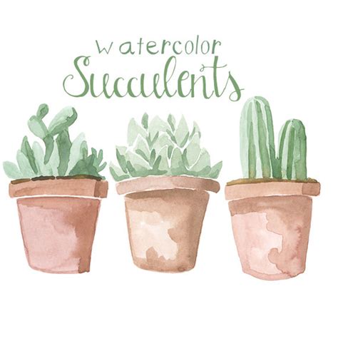 Free Succulents Cliparts, Download Free Succulents Cliparts png images ...