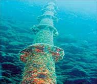 Undersea cable repair may hit Net services - Rediff.com Business