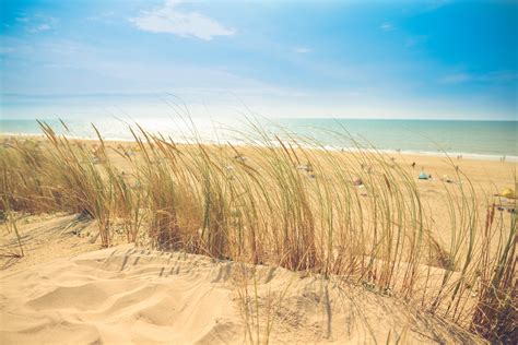 Free stock photo of beach, dune, holiday