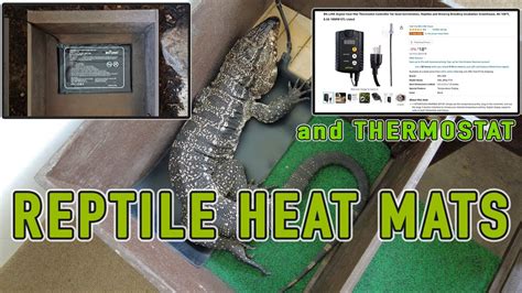 Reptile heat mat/heat sources Tegu or snakes. (Essential items for ...