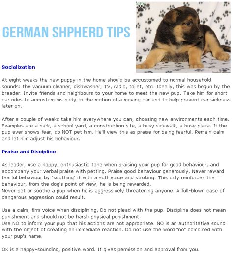 Essentials of German shepherd puppy training