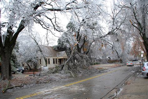 Ice Storm Damage Photograph by Reed Timmer/science Photo Library - Fine Art America