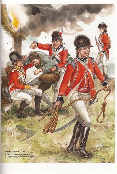 Sabre and bayonet: Armies of the Irish Rebellion 1798 Reid/Embleton