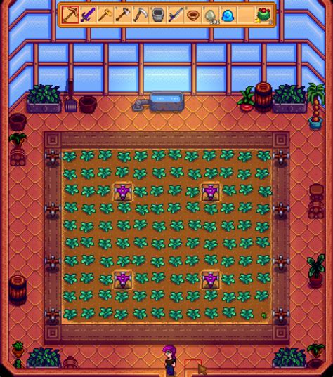 Best Greenhouse Layout for Stardew Valley