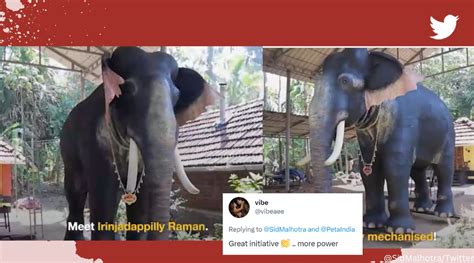 Kerala temple to use mechanised elephant instead of real one to perform rituals live news feed ...