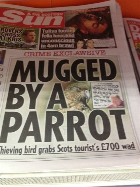 Simply 39 of the funniest headlines ever printed - The Poke