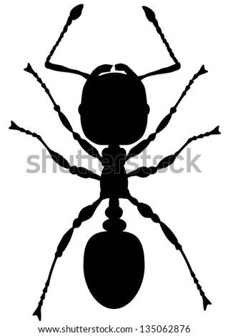 Ant Silhouette Stock Vector Illustration 135062876 : Shutterstock