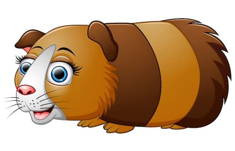 Guineapig | Free Vectors, Stock Photos & PSD