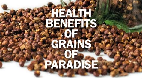 9 Amazing Health Benefits Of Grains Of Paradise