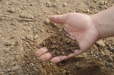 5 Ways to Clean and Decontaminate Soil - The Environmental Blog