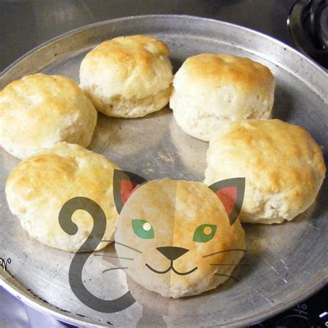 Old-Fashioned Cathead Biscuits Recipe - (4.4/5) | Recipe | Homemade ...