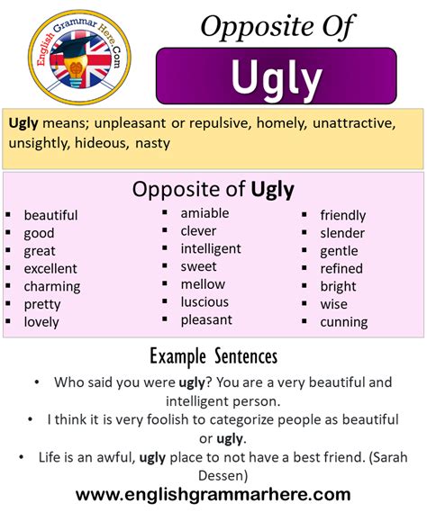 Opposite Of Ugly, Antonyms of Ugly, Meaning and Example Sentences ...