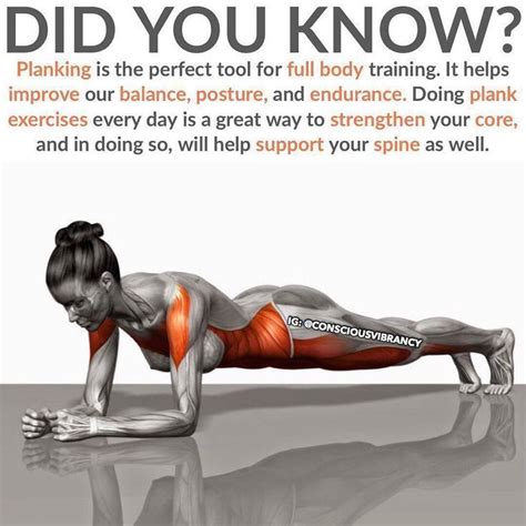 Improve core definition and performance with 11 Planks variations! Planks are an excellent way ...