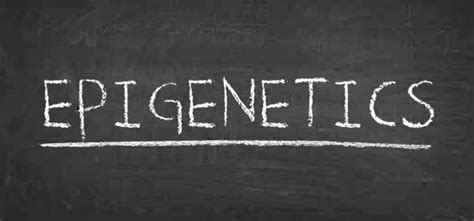 A Review of the Epigenetics Course: Epigenetic Control of Gene Expression | What is Epigenetics?