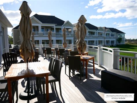 Inn by the Sea a Pet-Friendly Luxury Oceanfront Resort Outside of Portland, Maine | Dog-Friendly ...