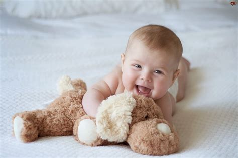 Cute Little Baby Boy Playing With Toy HD Wallpaper | Cute Little Babies