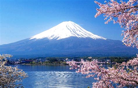 Terbaru 78+ Lukisan Gunung Fuji Dan Bunga Sakura, Gambar Lukisan