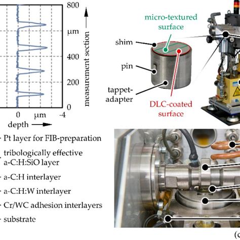 (a) Laser scanning microscopy image and a sectional view of a ...