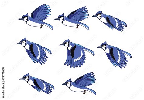 Blue Jay Bird Flying Animation Sprite Stock Vector | Adobe Stock