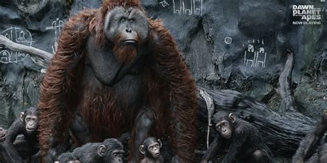 Maurice en "Rise of Planet of the Apes". | Planet of the apes, Apes, Orangutan