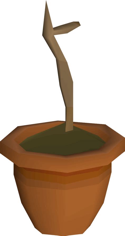 Orange sapling - OSRS Wiki