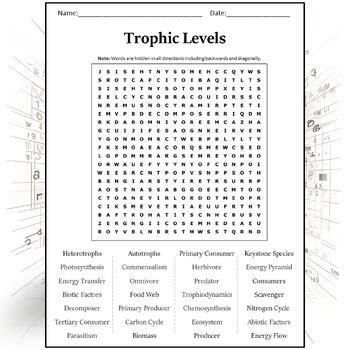 Trophic Levels Word Search Puzzle Worksheet Activity by Word Search Corner