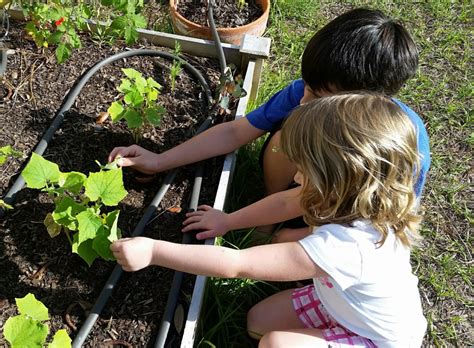 Gardening with Kids - UF/IFAS Extension Pinellas County