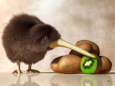 Kiwi Bird and Kiwifruit by deskridge on DeviantArt