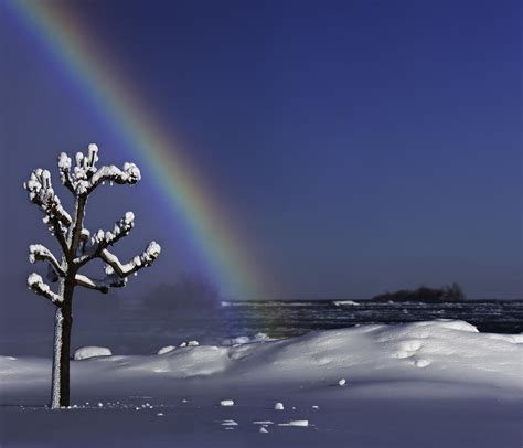 Winter Rainbow at Niagara Falls Photograph by Peter V Quenter - Fine Art America