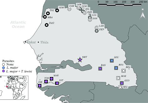 Rodent sampling localities along the house mouse (Mus musculus ...