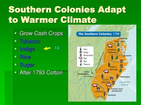 PPT - Role of Geography in the 13 Colonies PowerPoint Presentation, free download - ID:1104706