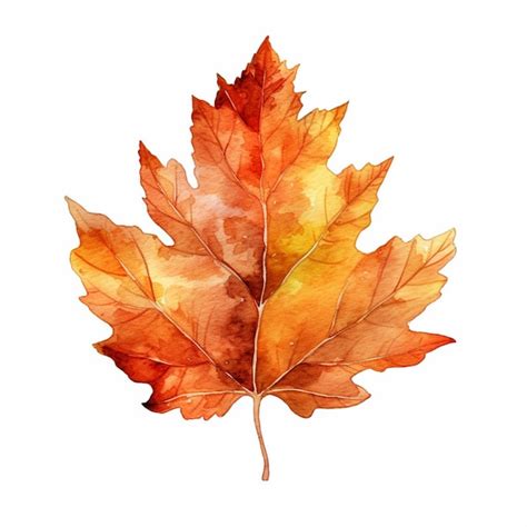 Premium AI Image | Watercolor maple leaf with a red leaf in watercolor.