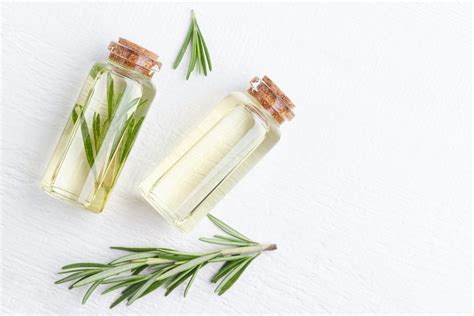 Benefits of rosemary in hair growth | Cookist.com