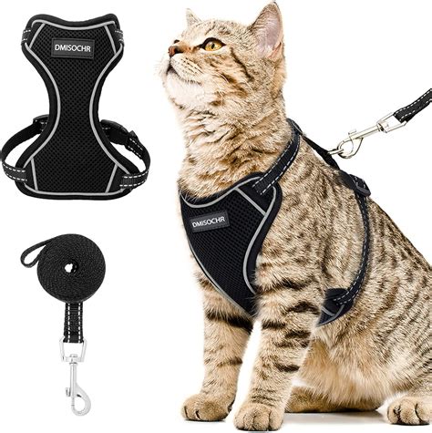 Kitchen & Dining : Cat Harness and Leash Set - Escape Proof Safe Cat Vest Harness for Walking ...