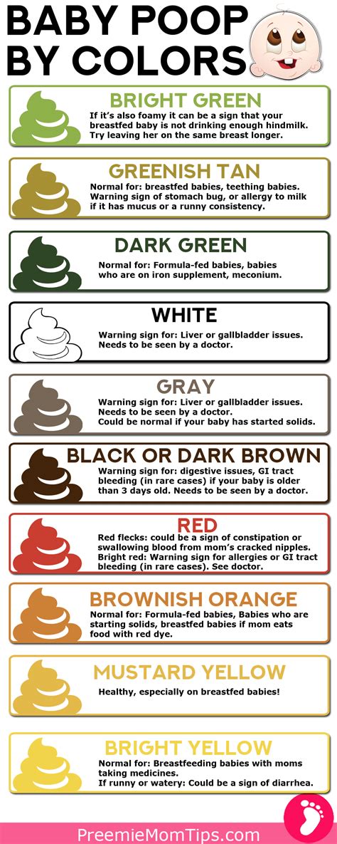 Baby Poop Guide: Color, Consistency, and Beyond!