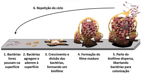 Um mundo sem infeções - Vibrant