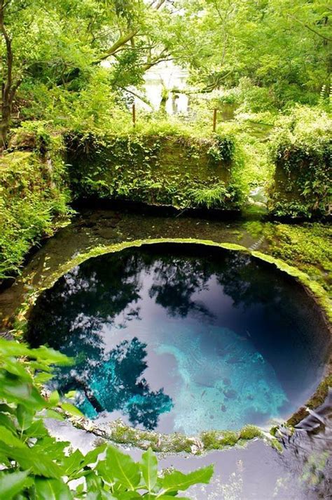 25 Natural Swimming Pool Designs For Your Small Backyard | HomeMydesign