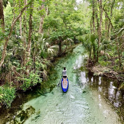 Kayaking From King's Landing - impulse4adventure - Florida Adventures